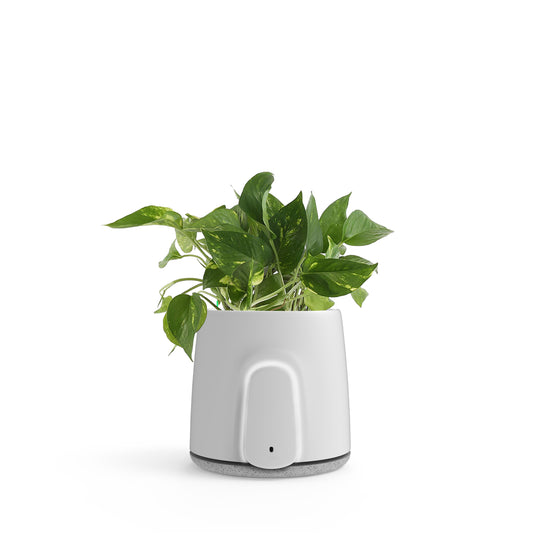 Vitesy Natede Smart Plant Pot Purifier