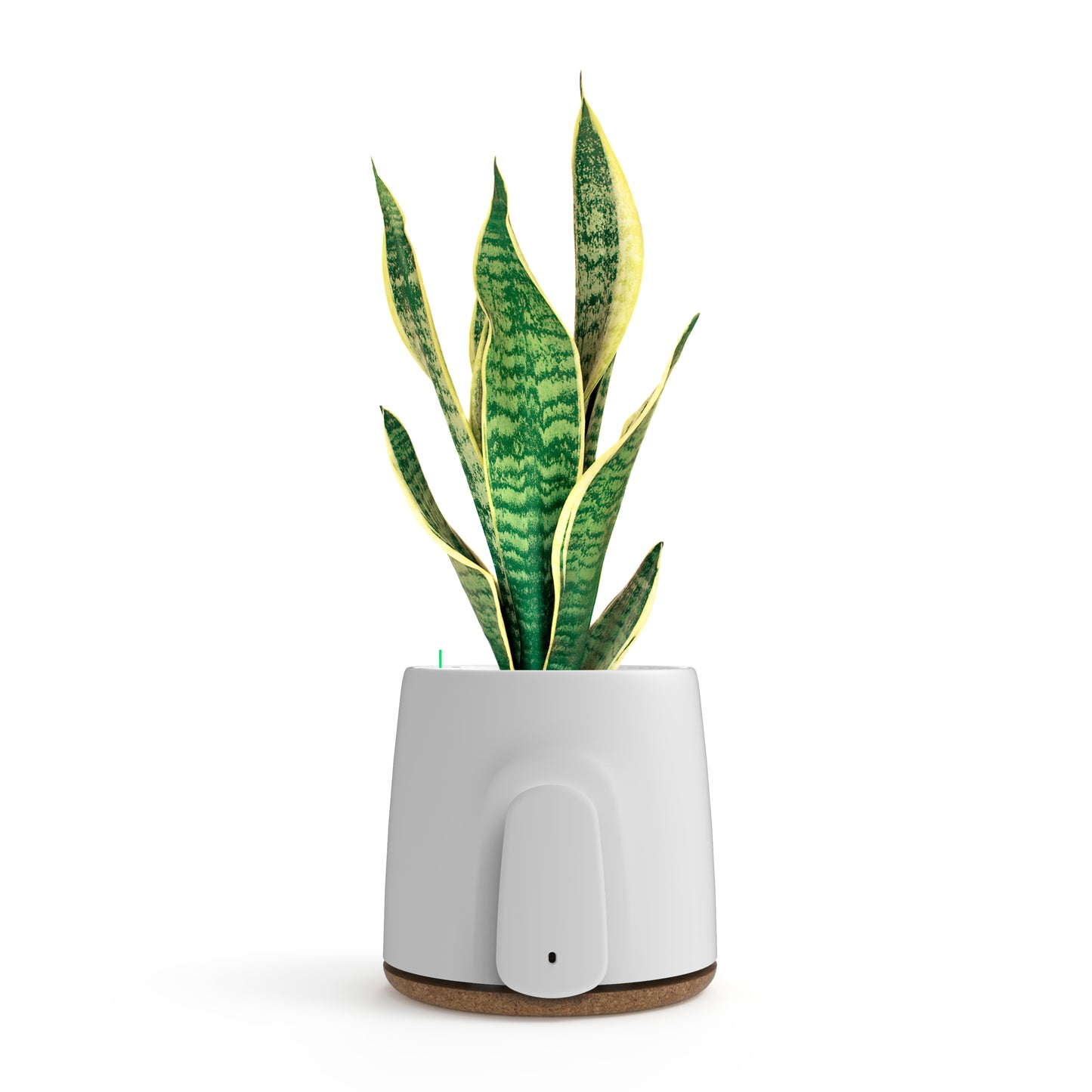 Vitesy Natede Plant Pot Purifier