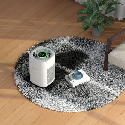 AIRVERSA Smart Air Purifier Purelle AP2